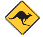 Mount Magnet Skippycoin ICG